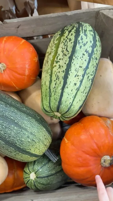 Kürbiszeit ist da. 🎃 Ab jetzt gibt’s bei uns immer frische Kürbisse. Und wer’s schnell ma...